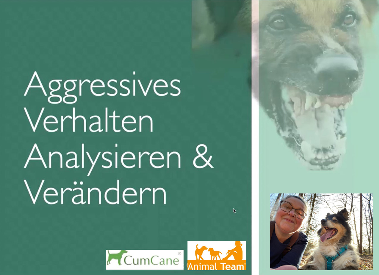 Aggressives Verhalten analysieren und verändern – Online Seminar mit Ute Blaschke-Berthold am 09.+10. 01. 2027