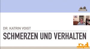Schmerzen und Verhalten -Teil 1- wie beides zusammen hängt - Online Vortrag (Stream) mit Katrin Voigt