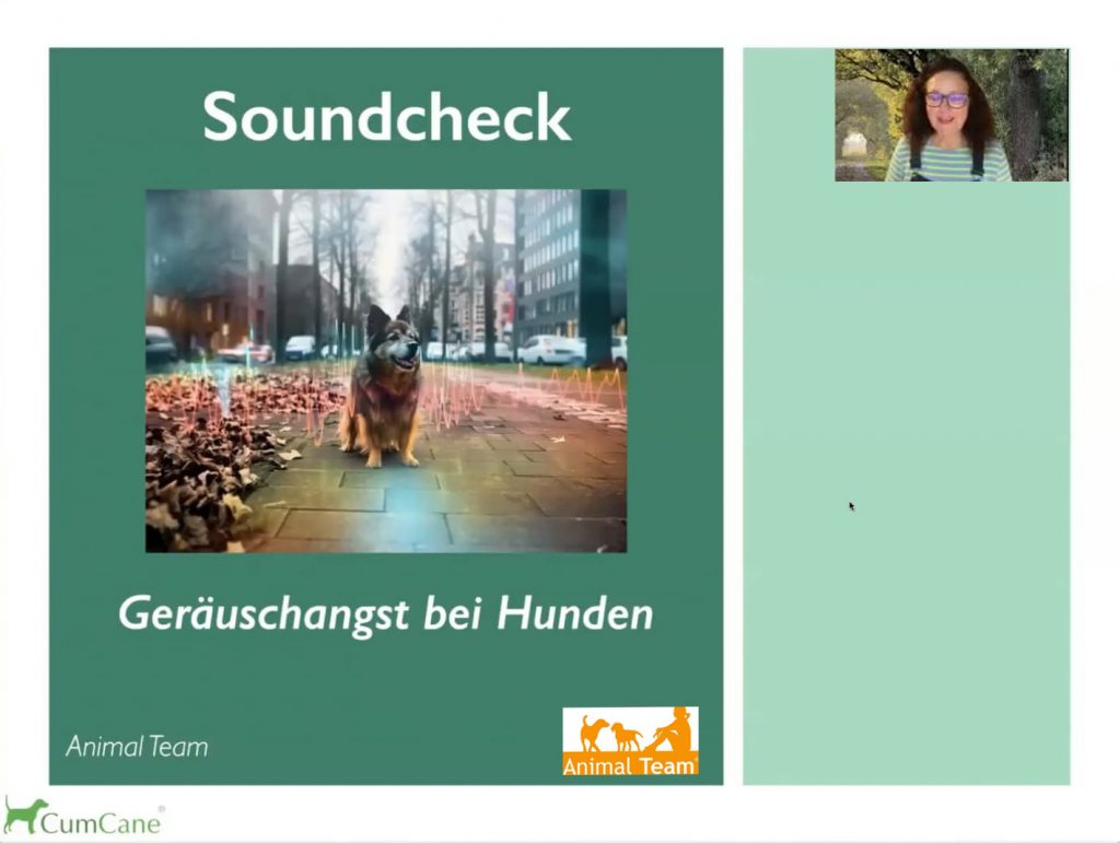 Soundcheck - Geräuschangst bei Hunden - Online Vortrag (Streaming) mit Ute Blaschke-Berthold