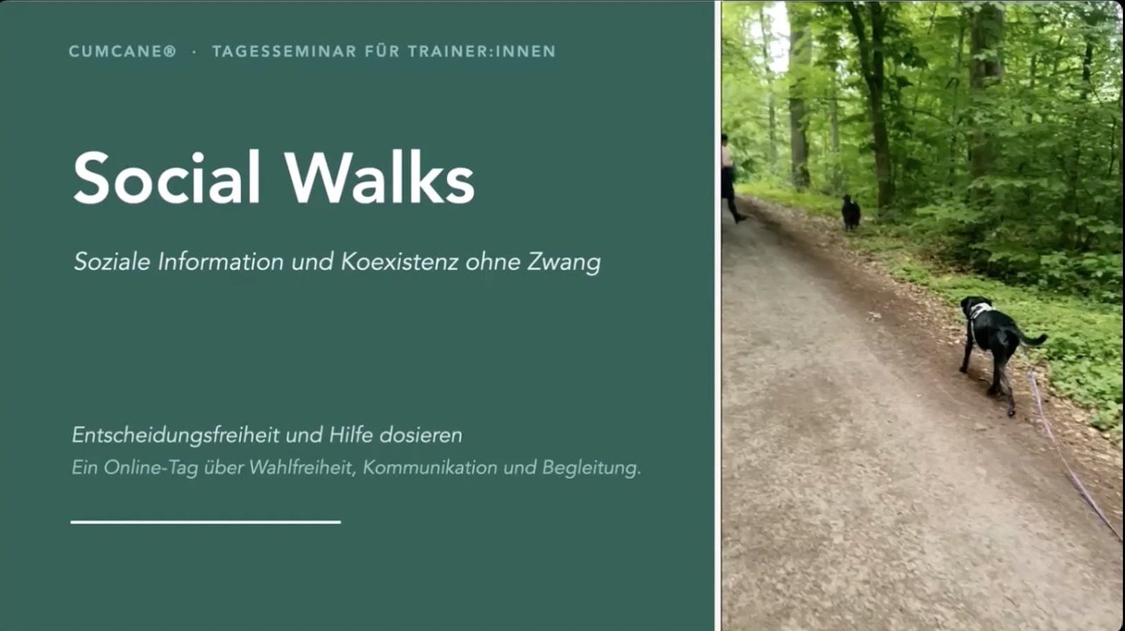 Social Walks - Seminar mit Frau Dr. Ute Blaschke-Berthold