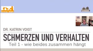 Schmerzen und Verhalten -Teil 1- wie beides zusammen h&auml;ngt - Online Vortrag (Stream) mit Frau Dr. med. vet. Katrin Voigt