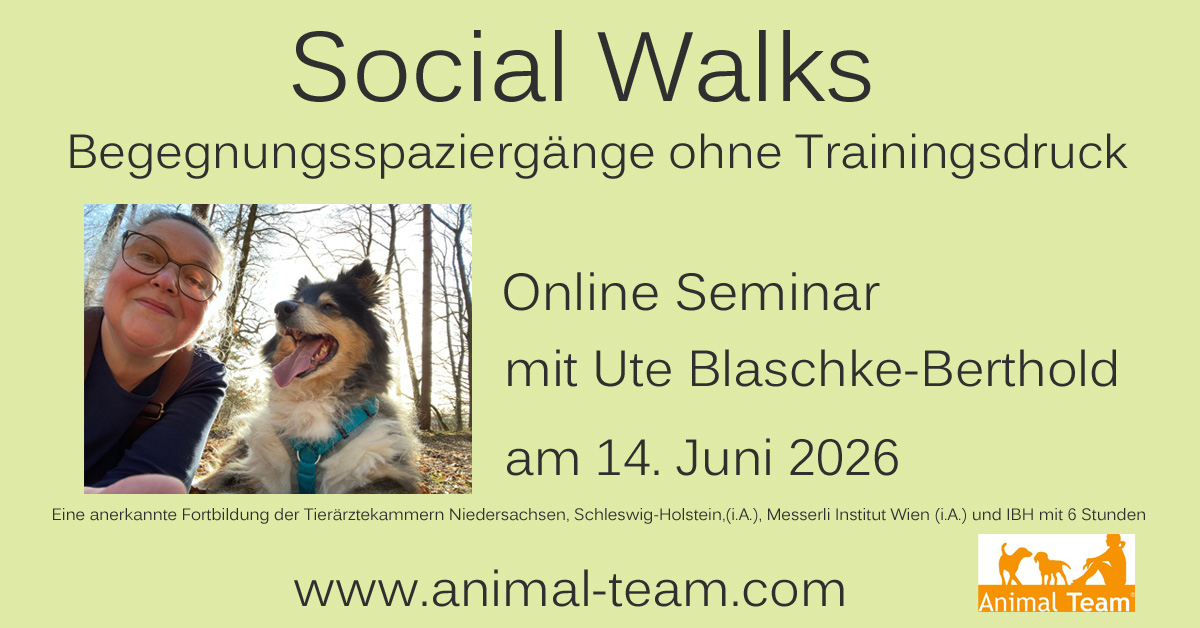 ute_socialwalks_bearbeitet-1