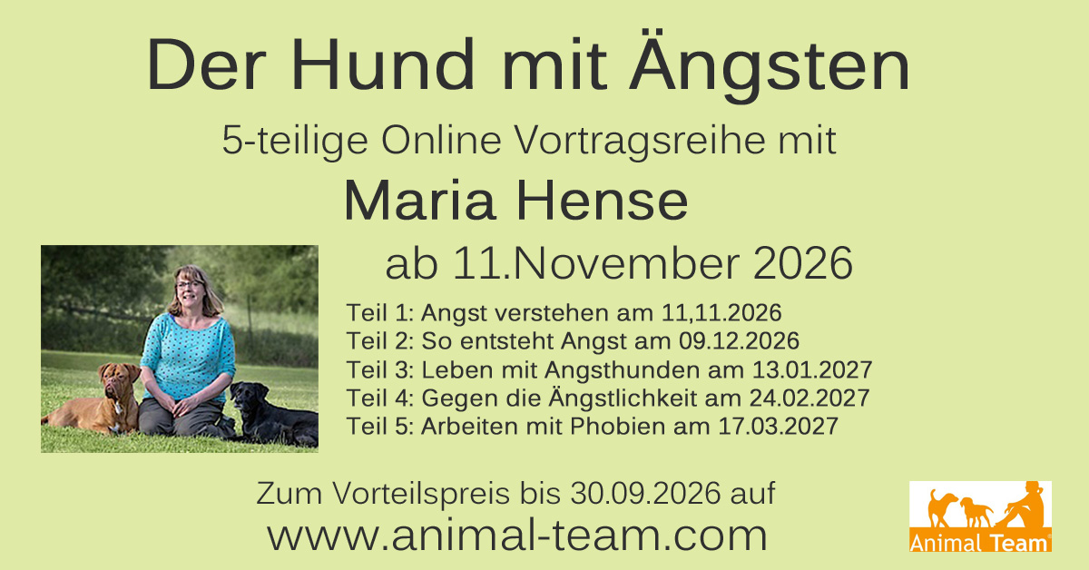 Der Hund mit Ängsten - Maria Hense