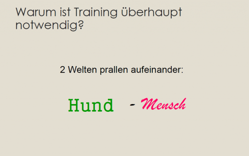 ueberleben 3