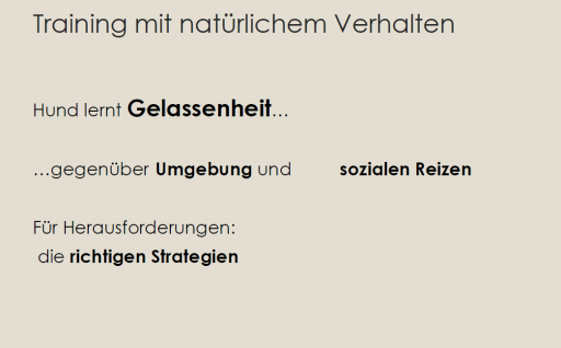 ueberleben 4