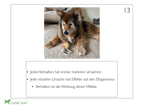 Methoden der Verhaltenstherapie 1_1