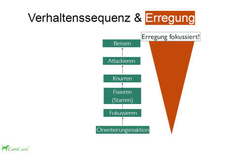 aggressives verhalten 2