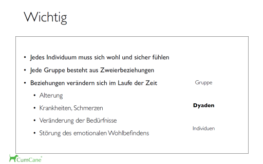Mehrhundehaltung Folie 1