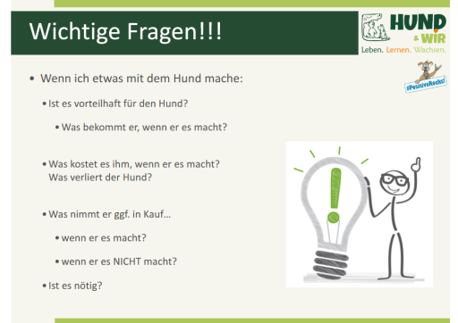 Dialog Hund Gerd 3