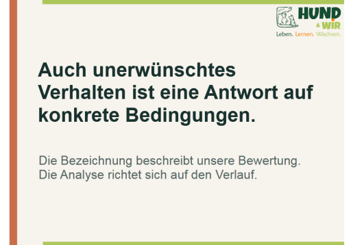 Dialog Hund Gerd 2