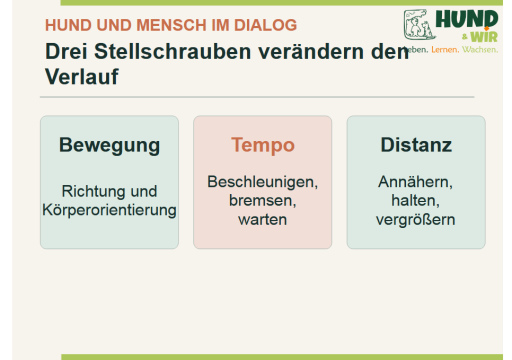 Dialog Hund Gerd 1