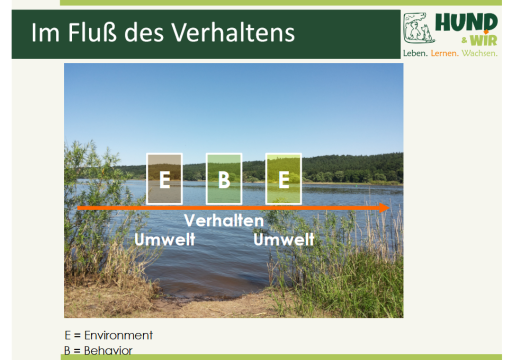 Bevor es schwierig wird gerd 2