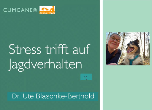Wenn Stress auf Jagdverhalten trifft - Online Seminar mit Frau Dr. Ute Blaschke-Berthold am 13. + 14. 03. 2027