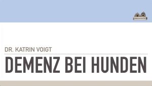 Demenz bei Hunden - Online Vortrag (Stream) mit Frau Dr. med. vet. Katrin Voigt