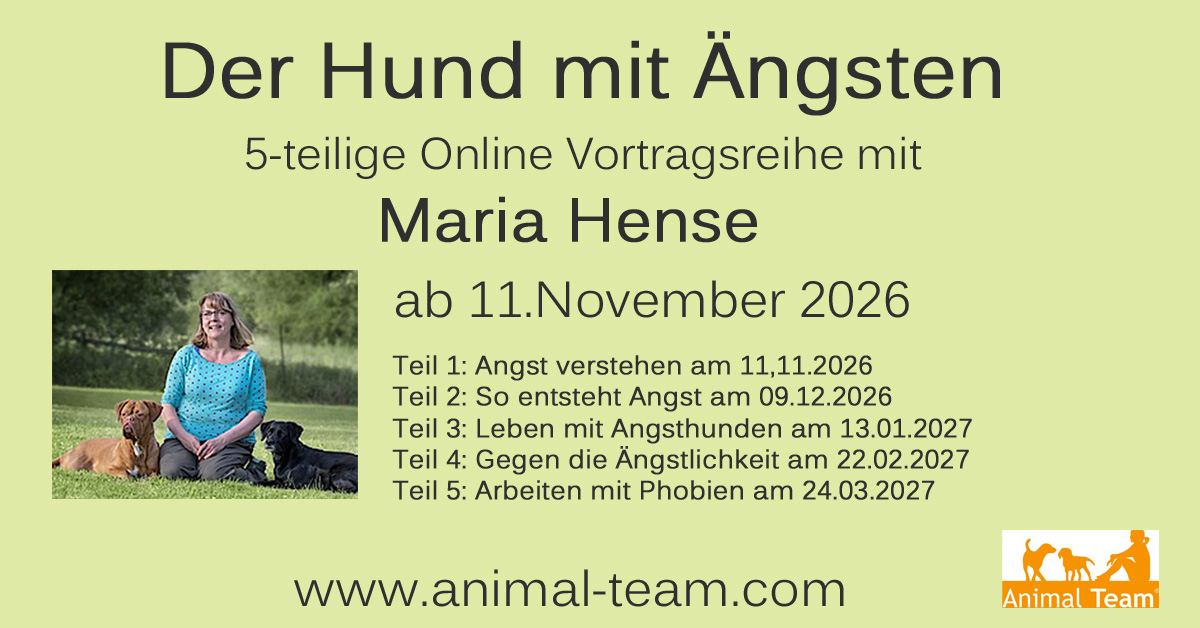 maria_angst_5_2026_neu3