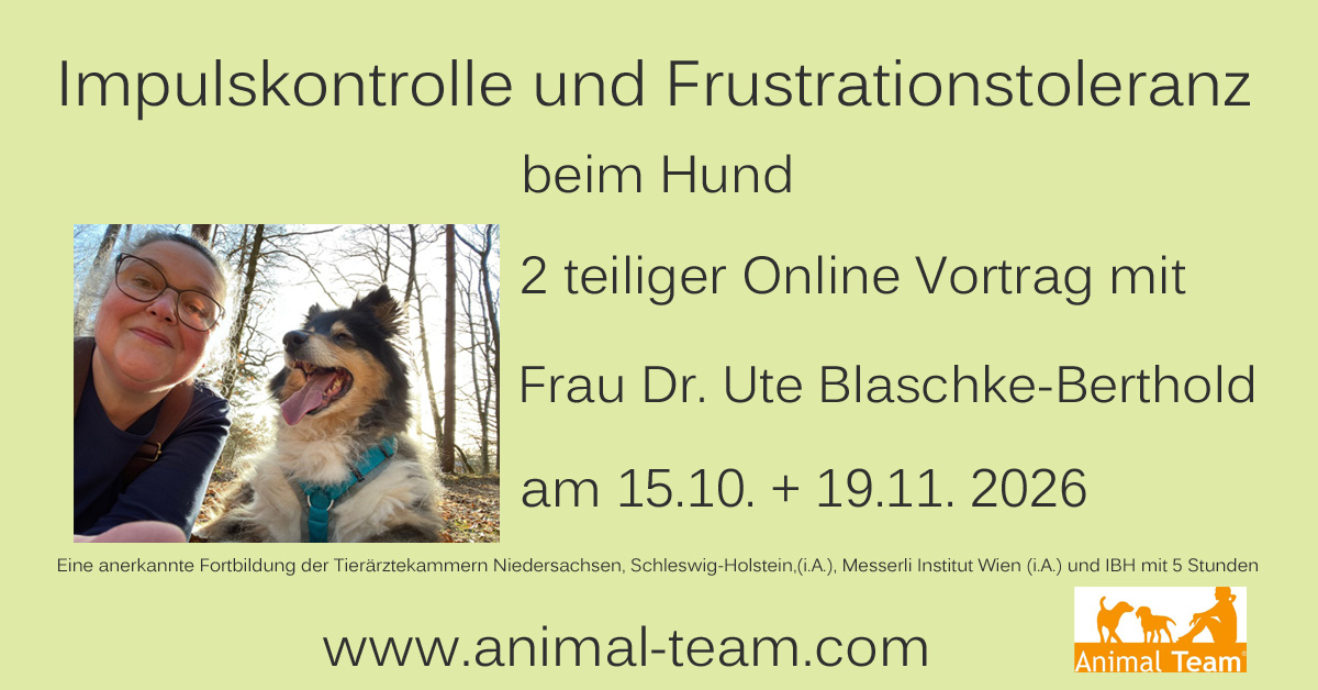 ute_ikft_bearbeitet-1